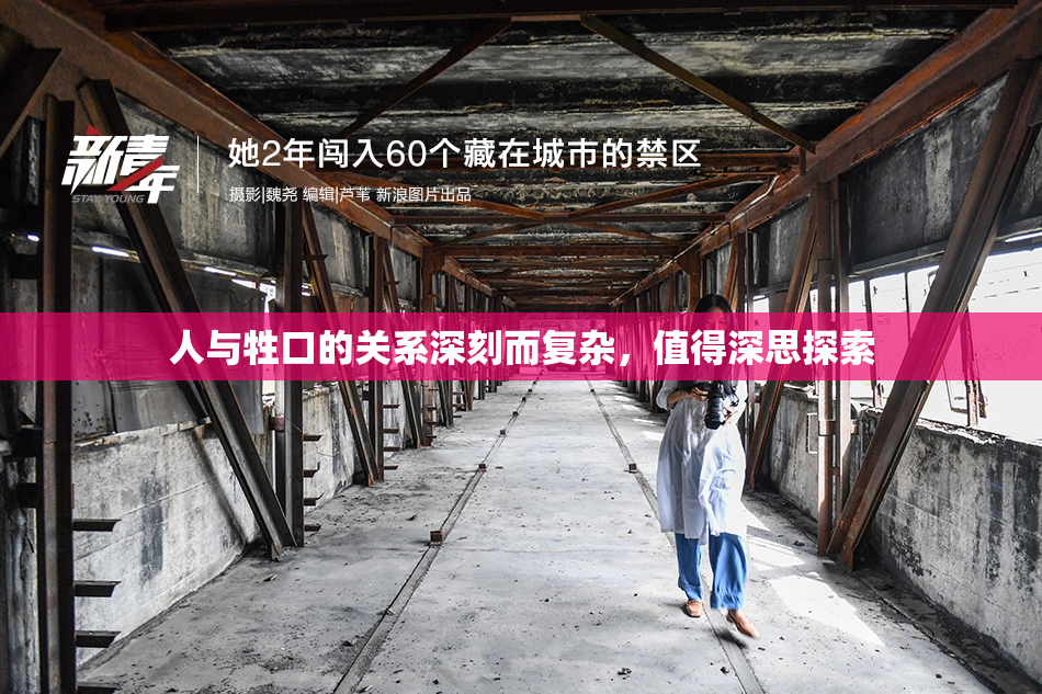 人与牲口的关系深刻而复杂，值得深思探索