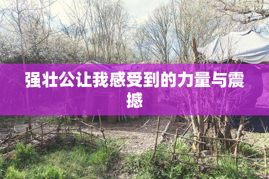 强壮公让我感受到的力量与震撼
