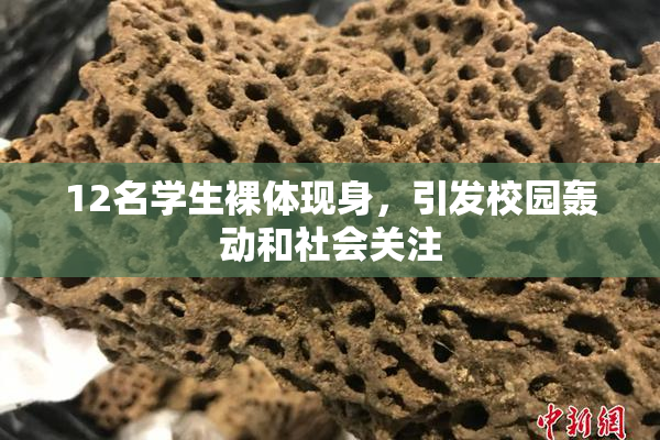 12名学生裸体现身，引发校园轰动和社会关注