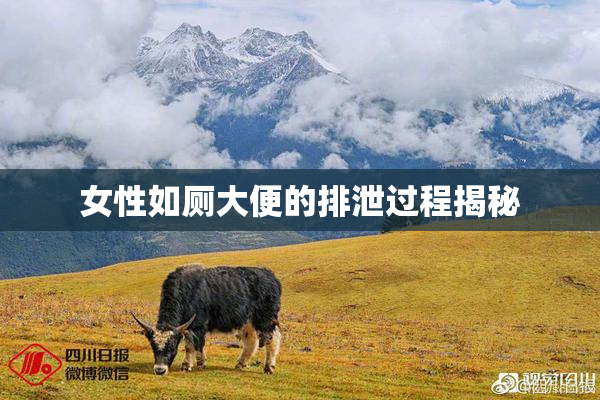 女性如厕大便的排泄过程揭秘