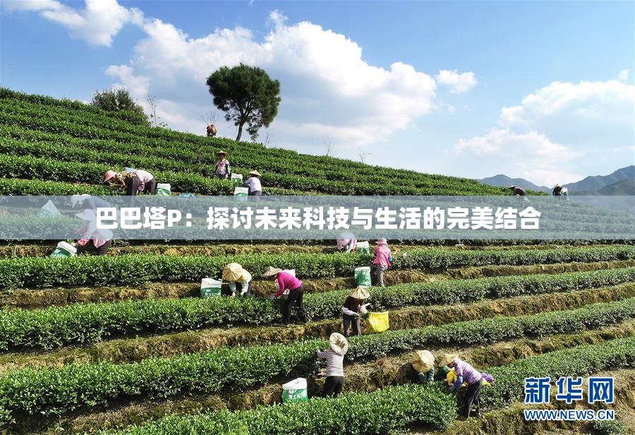 巴巴塔P：探讨未来科技与生活的完美结合