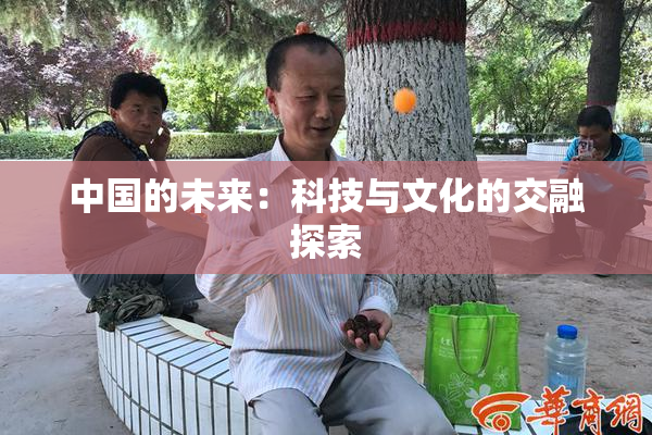 中国的未来：科技与文化的交融探索