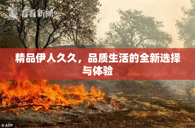 精品伊人久久，品质生活的全新选择与体验