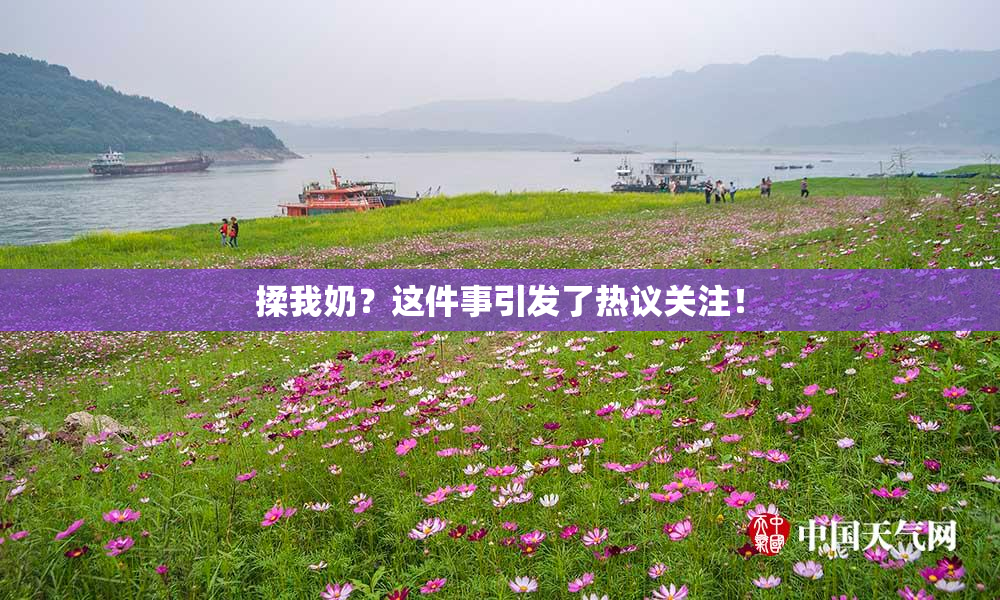 揉我奶？这件事引发了热议关注！