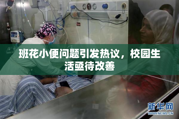 班花小便问题引发热议，校园生活亟待改善