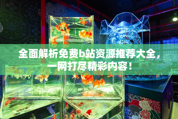 全面解析免费b站资源推荐大全，一网打尽精彩内容！