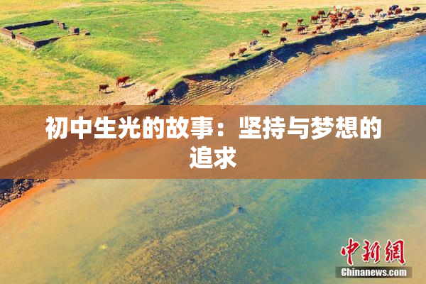 初中生光的故事：坚持与梦想的追求