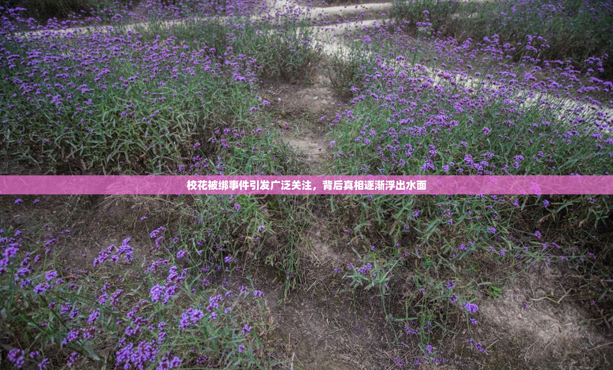 校花被绑事件引发广泛关注，背后真相逐渐浮出水面
