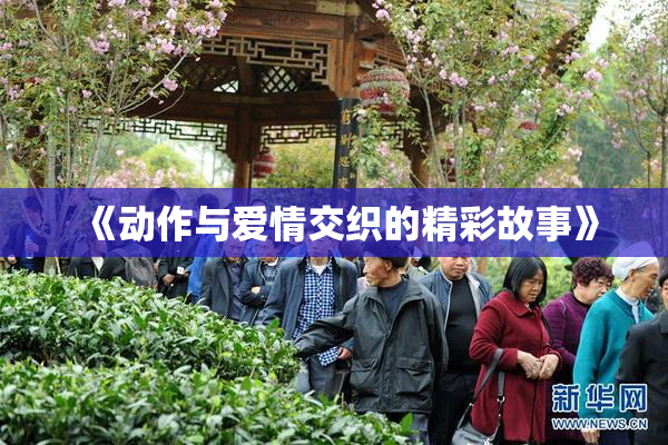 《动作与爱情交织的精彩故事》