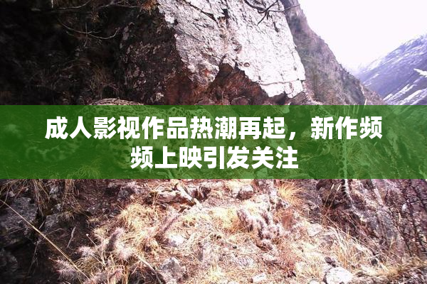 成人影视作品热潮再起，新作频频上映引发关注