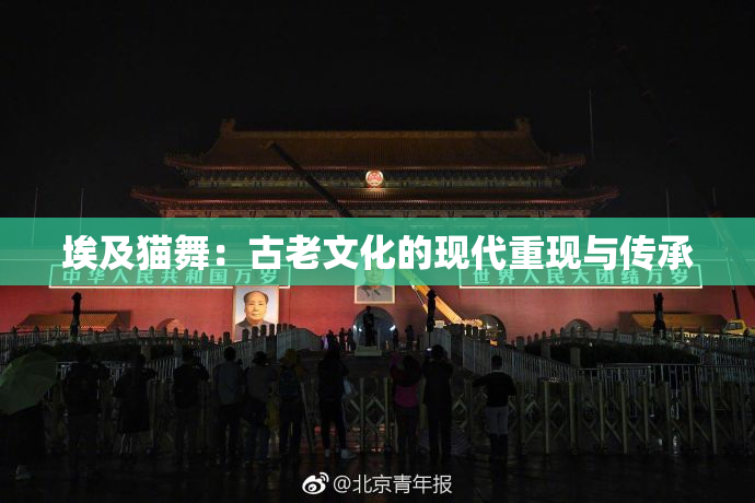 埃及猫舞：古老文化的现代重现与传承
