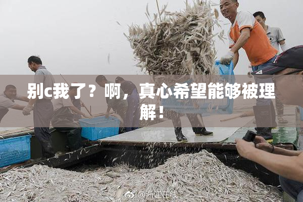 别c我了？啊，真心希望能够被理解！