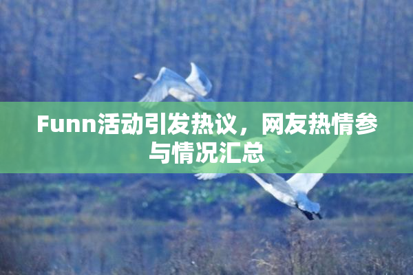 Funn活动引发热议，网友热情参与情况汇总