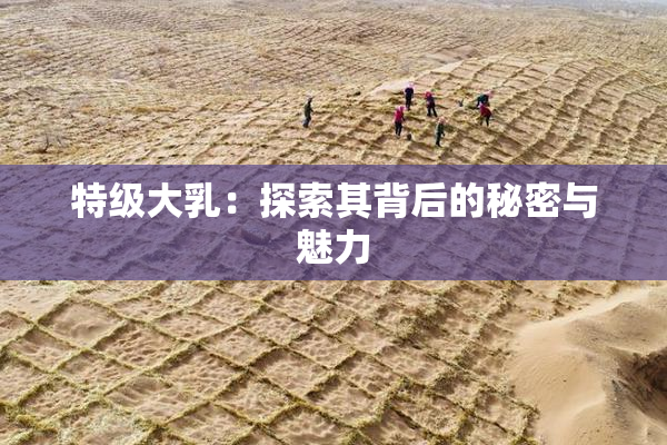 特级大乳：探索其背后的秘密与魅力