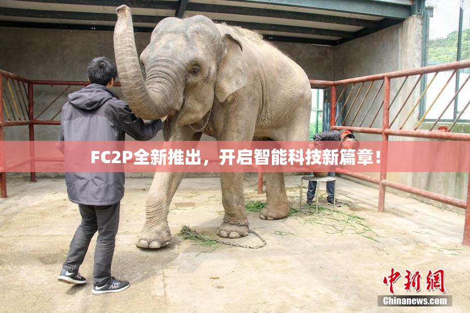 FC2P全新推出，开启智能科技新篇章！