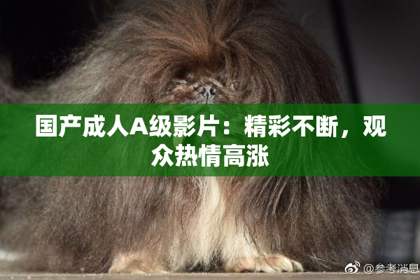 国产成人A级影片：精彩不断，观众热情高涨