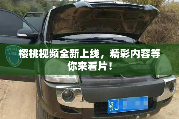 樱桃视频全新上线，精彩内容等你来看片！