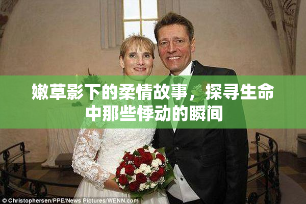 嫩草影下的柔情故事，探寻生命中那些悸动的瞬间