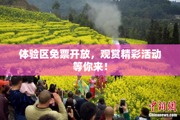 体验区免票开放，观赏精彩活动等你来！