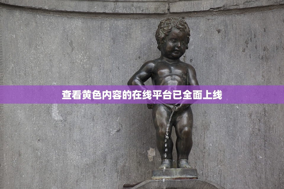查看黄色内容的在线平台已全面上线
