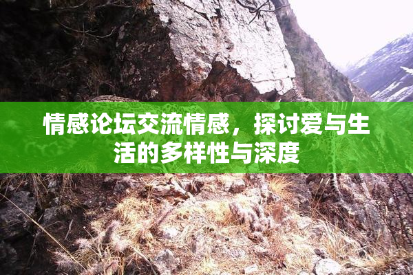 情感论坛交流情感，探讨爱与生活的多样性与深度