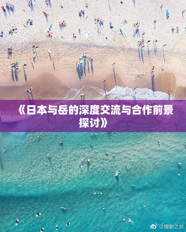 《日本与岳的深度交流与合作前景探讨》