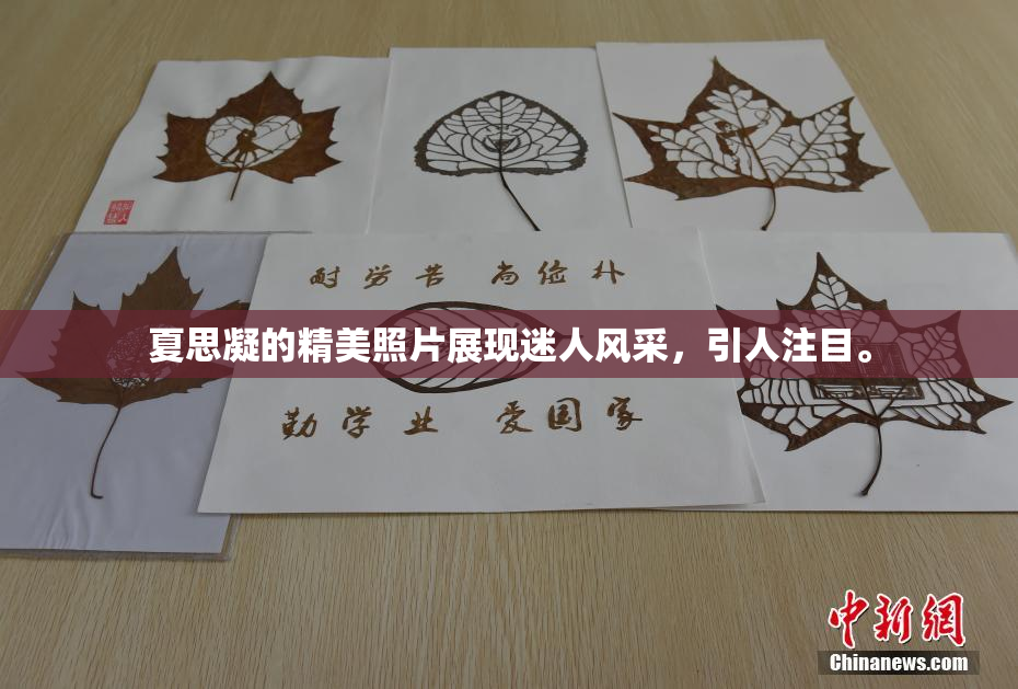 夏思凝的精美照片展现迷人风采，引人注目。