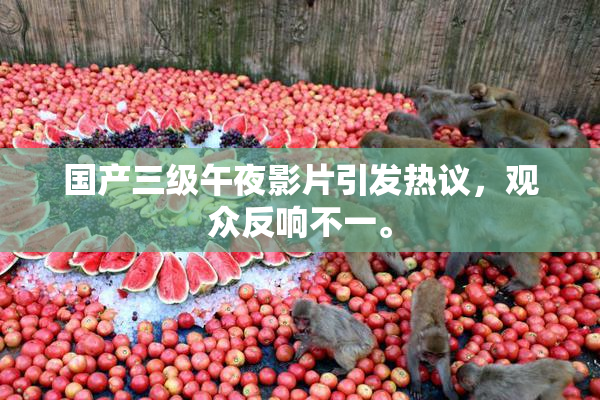 国产三级午夜影片引发热议，观众反响不一。