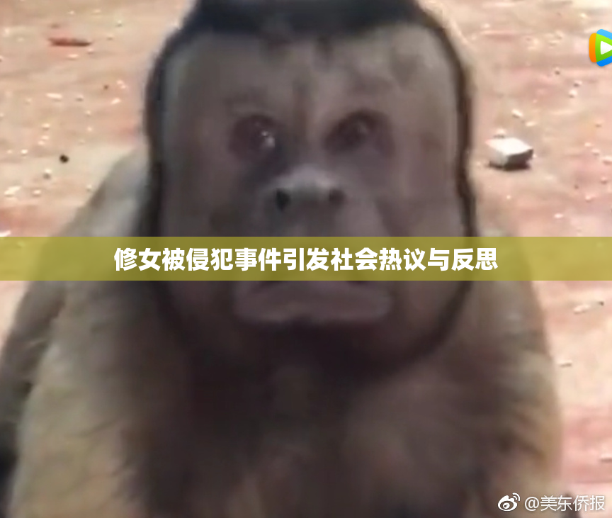修女被侵犯事件引发社会热议与反思