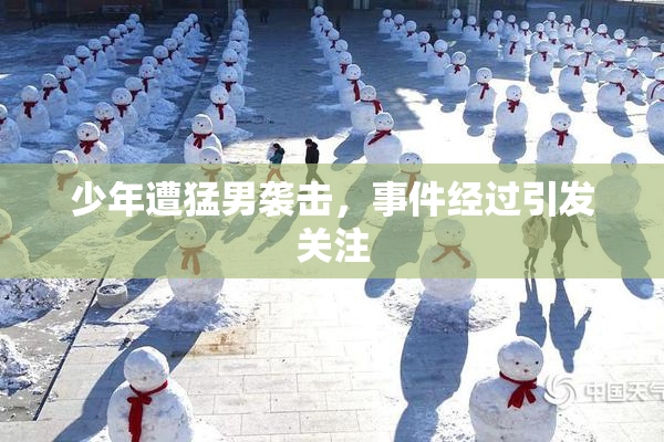 少年遭猛男袭击，事件经过引发关注