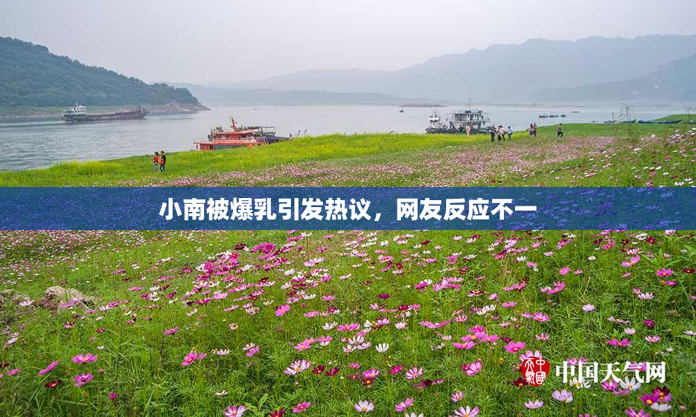 小南被爆乳引发热议，网友反应不一
