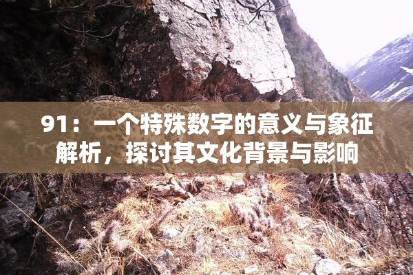 91：一个特殊数字的意义与象征解析，探讨其文化背景与影响