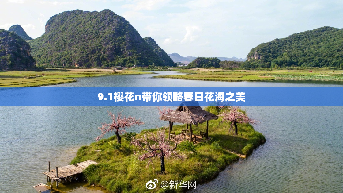 9.1樱花n带你领略春日花海之美