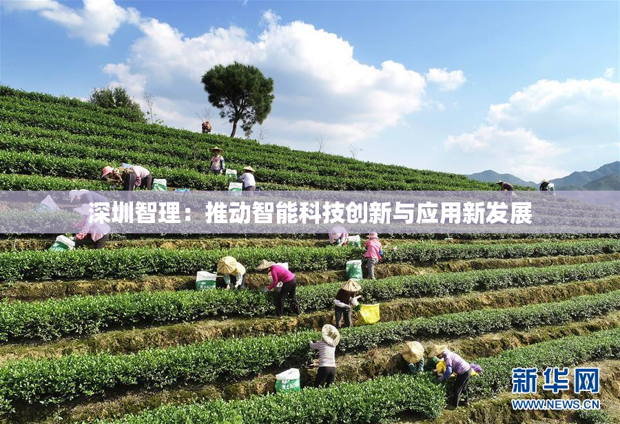 深圳智理：推动智能科技创新与应用新发展