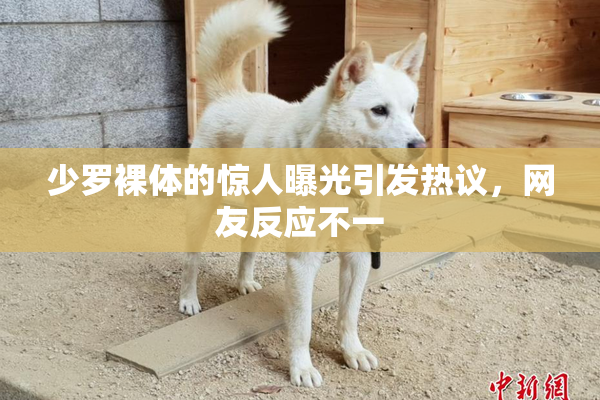 少罗裸体的惊人曝光引发热议，网友反应不一