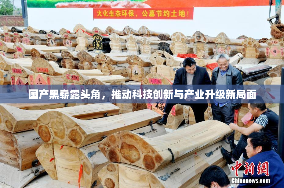 国产黑崭露头角，推动科技创新与产业升级新局面