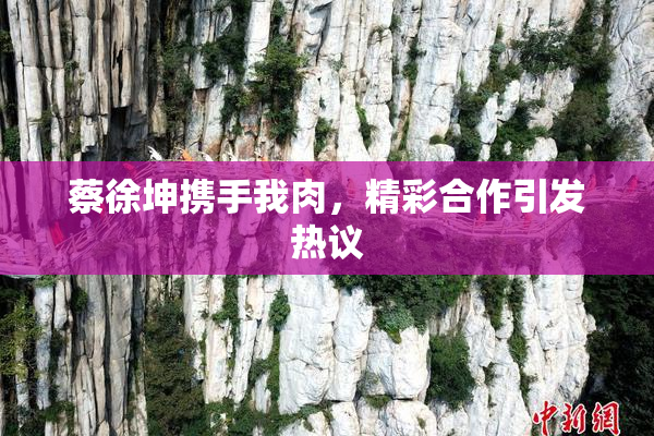蔡徐坤携手我肉，精彩合作引发热议