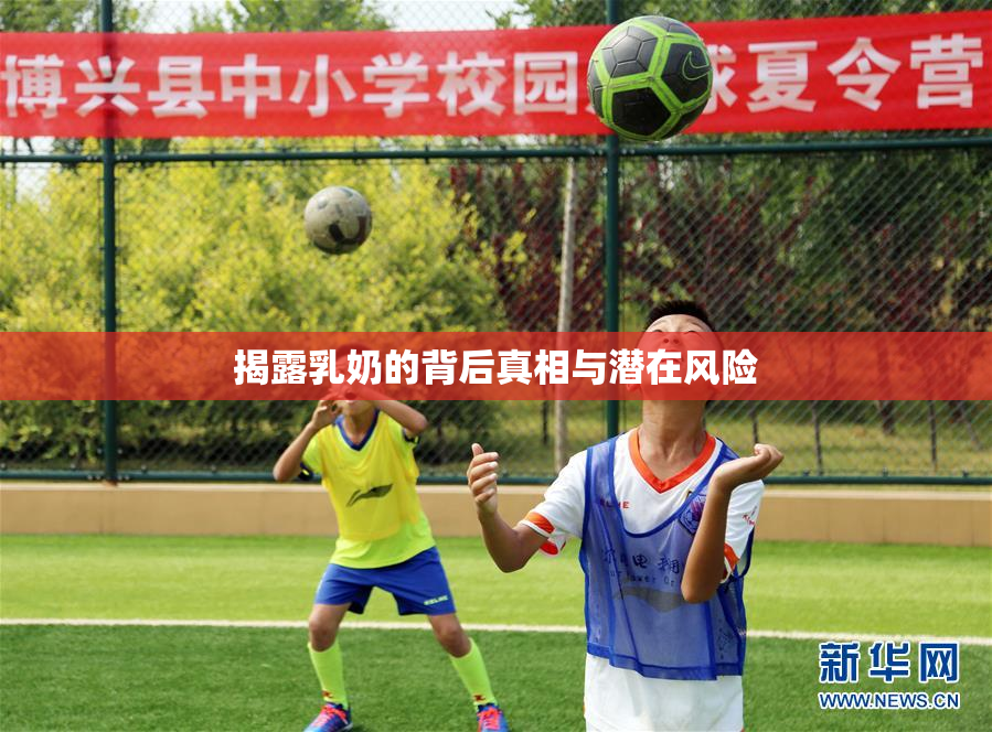 揭露乳奶的背后真相与潜在风险