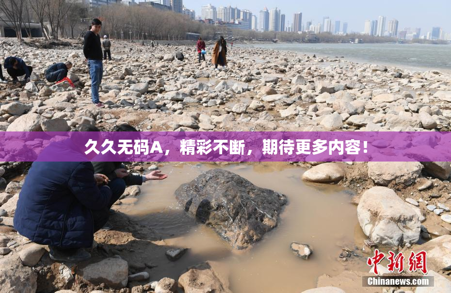久久无码A，精彩不断，期待更多内容！