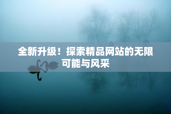 全新升级！探索精品网站的无限可能与风采