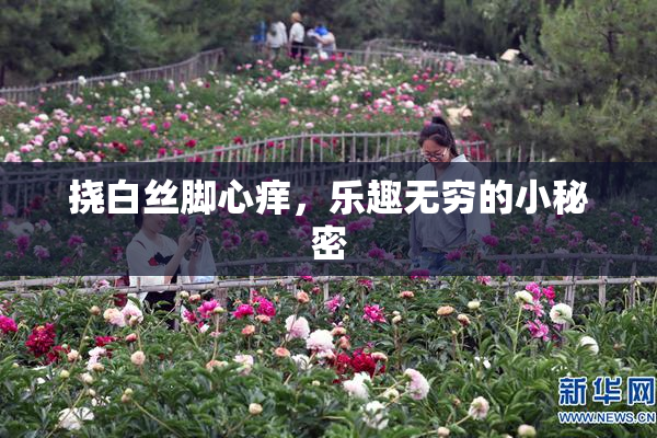 挠白丝脚心痒，乐趣无穷的小秘密