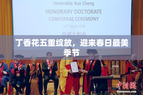 丁香花五重绽放，迎来春日最美季节