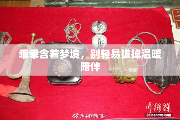乖乖含着梦境，别轻易拔掉温暖陪伴