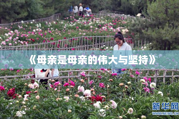 《母亲是母亲的伟大与坚持》