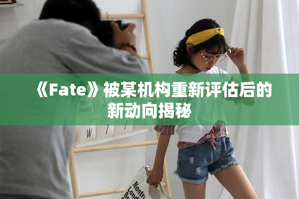 《Fate》被某机构重新评估后的新动向揭秘