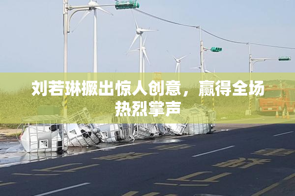 刘若琳撅出惊人创意，赢得全场热烈掌声