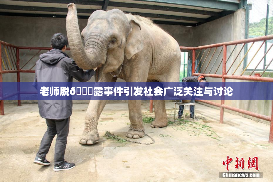 老师脱👙露事件引发社会广泛关注与讨论