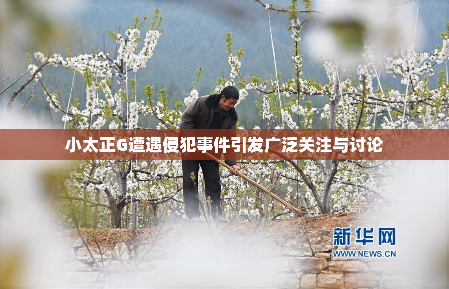 小太正G遭遇侵犯事件引发广泛关注与讨论