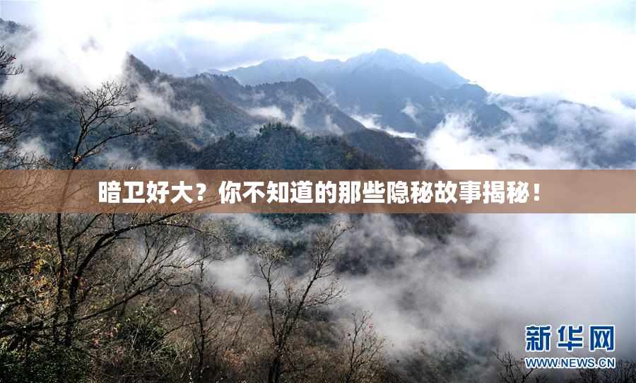 暗卫好大？你不知道的那些隐秘故事揭秘！