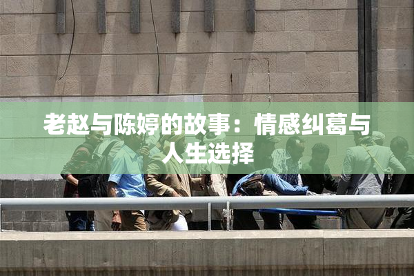 老赵与陈婷的故事：情感纠葛与人生选择